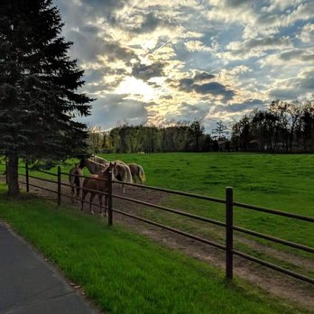 Groveland Equestrian Center - Gorgeous pastures, some even have lakes!!! - Horse Boarding Near Me - Ortonville, Michigan Groveland Equestrian Center - Gorgeous pastures, some even have lakes!!! - Horse Boarding Near Me - Ortonville, Michigan