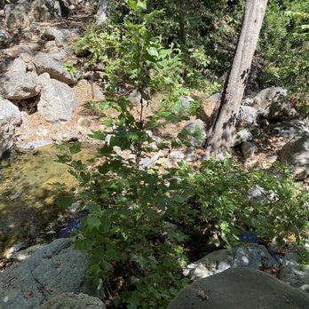 Solstice Canyon - Parks Near Me - Malibu, California