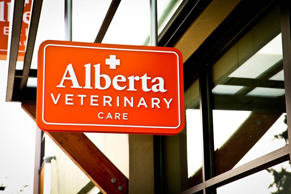 ALBERTA VETERINARY CARE Updated September 2024 40 Photos & 118