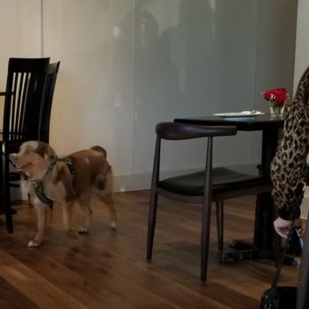 Variable Cafe - Looks like dog hair is on the menu. - Vegan Near Me - Los Angeles, California