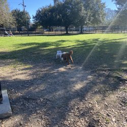 See Spot Run dog park