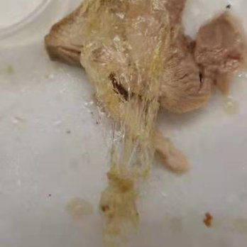 Phoenix Restaurant - Haianese chicken with plastic wrap served. - Chinese Near Me - Markham, Ontario