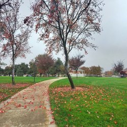 Zanussi Park - Walk in the park