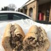 Ryan's Country Store gift card