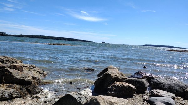 Wolfe's Neck Woods State Park by null