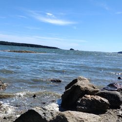 Wolfe's Neck Woods State Park