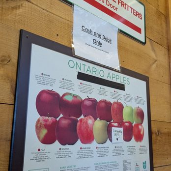 The Fritter Co. - Apple type used - Desserts Near Me - Waterloo, Ontario The Fritter Co. - Apple type used - Desserts Near Me - Waterloo, Ontario