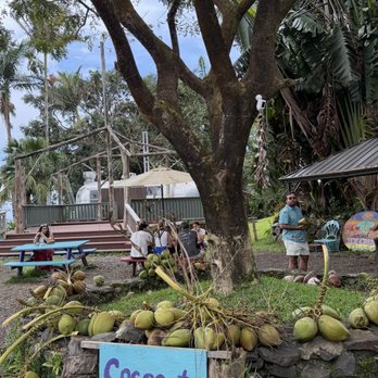 Coconut Glen's Ice Cream - Coconuts - Ice Cream & Frozen Yogurt Near Me - Nahiku, Hawaii