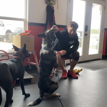 Mayday Dog Training - Pet Training Near Me - Fulshear, Texas Mayday Dog Training - Pet Training Near Me - Fulshear, Texas