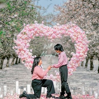 Agate Proposals & Marquees - Party & Event Planning Near Me Agate Proposals & Marquees - Party & Event Planning Near Me