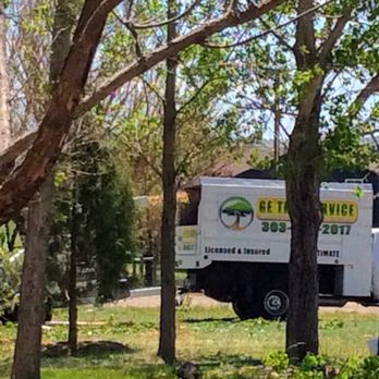 Guaranteed Excellence Landscaping - Before the trees were cut, - Landscaping Near Me - Denver, Colorado Guaranteed Excellence Landscaping - Before the trees were cut, - Landscaping Near Me - Denver, Colorado