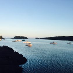 Little River Lobster - A view from the wharf, looking at little river lighthouse.