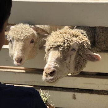 Leonis Adobe & Plummer House Museum - Museums Near Me - Calabasas, California