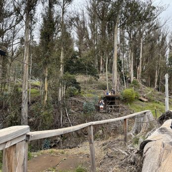 Skyline Hawaii - One of the five ziplines we enjoyed - Tours Near Me - Kula, Hawaii Skyline Hawaii - One of the five ziplines we enjoyed - Tours Near Me - Kula, Hawaii