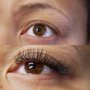 Photo of Cilia Lash