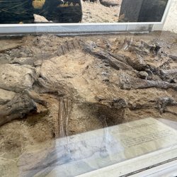 Dinosaur Provincial Park