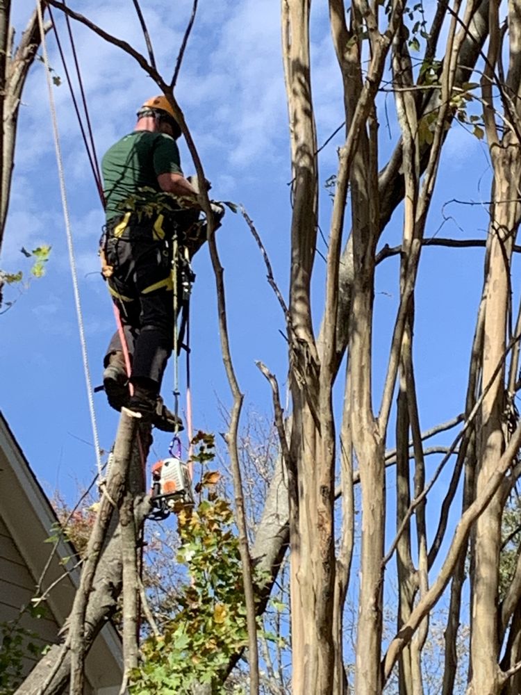 Veteran Landscape and Tree Service - veterans service organization in Collierville, TN