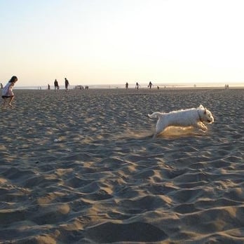 Ocean Beach - Parks Near Me - San Francisco, California