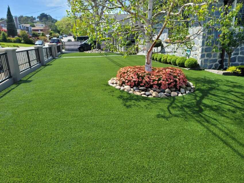 BEA ARTIFICIAL TURF 16 Photos San Francisco, California