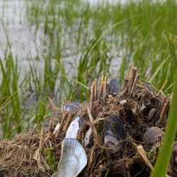 Doug Rayner Wildlife Refuge