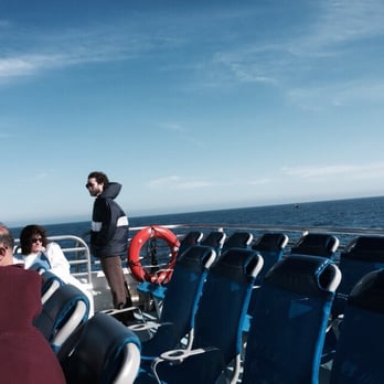 Catalina Express - See how windy it is?! - Tours Near Me - Long Beach, California Catalina Express - See how windy it is?! - Tours Near Me - Long Beach, California