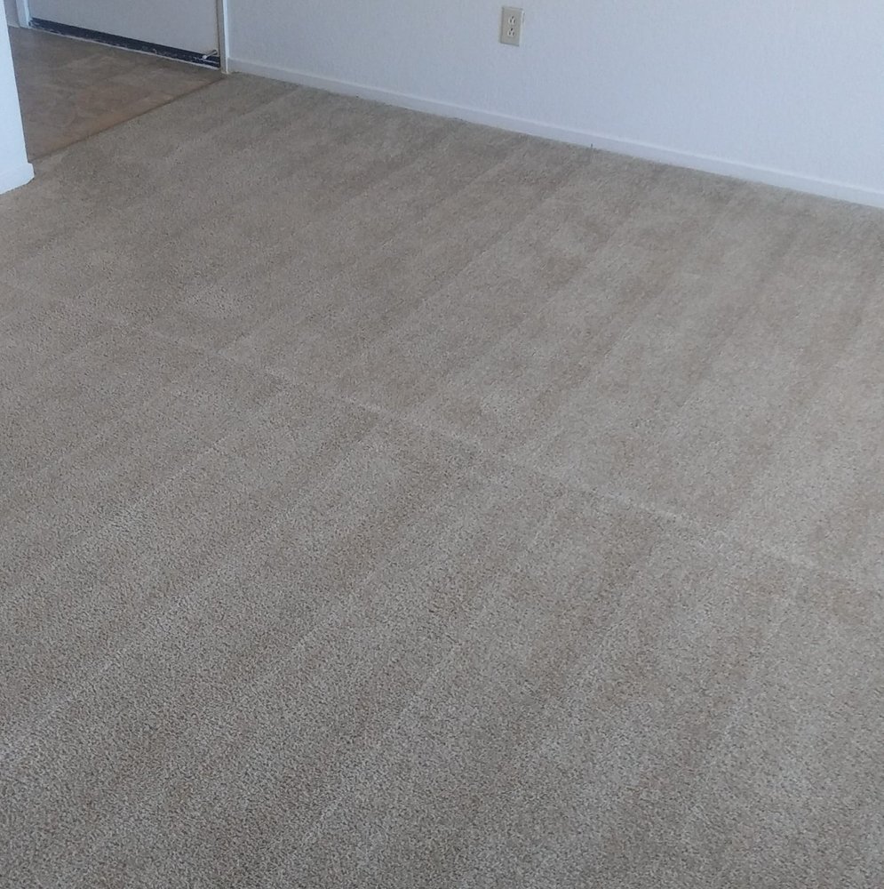 JUST LIKE NEW CARPET CLEANING Updated June 2024 22 Photos Oakland