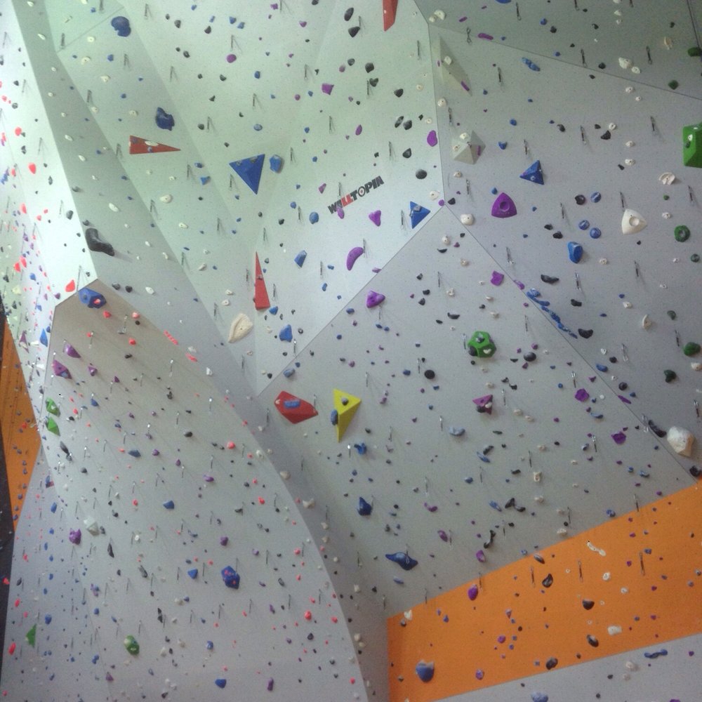 LEF Climbing - Main lead wall - Gyms Near Me - Lexington, Kentucky LEF Climbing - Main lead wall - Gyms Near Me - Lexington, Kentucky