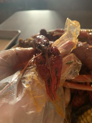 HIEUX Boil Seafood House by null