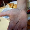 Oishii Hibachi & Buffet gift card