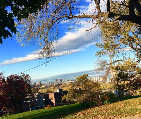 Leonard Gordon Park by null