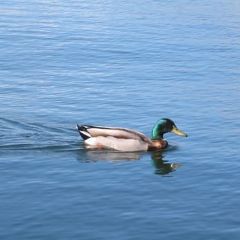 Green Lake Park - Parks Near Me - Seattle, Washington Green Lake Park - Parks Near Me - Seattle, Washington