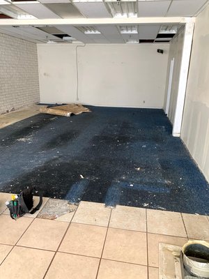 Commercial Interior Demolition - This project was for a client who was remodeling his commercial suite. His project was to remove all carpet, tile/thinset, acoustic tile ceiling and a section of dry wall. This job took approximately 2 days to complete. The job was located in Walnut Creek, CA.