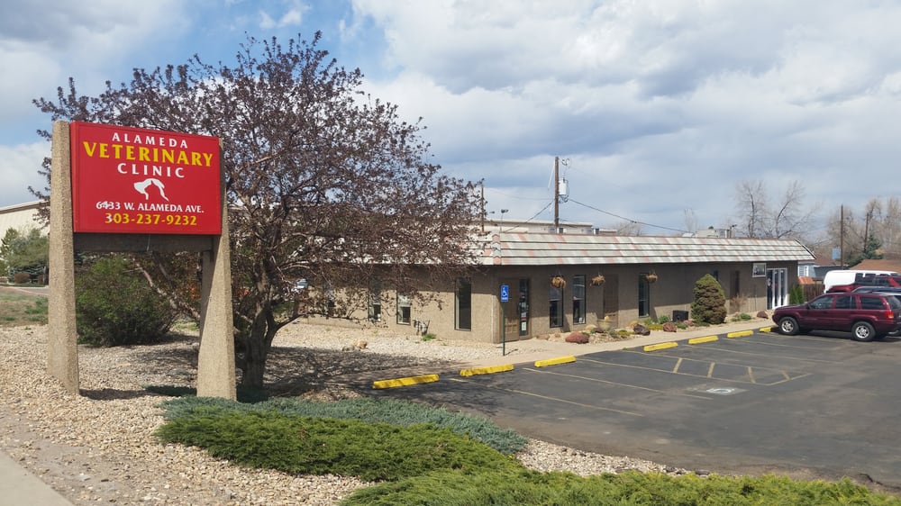 Vca Alameda East Alameda Animal Hospital Animal Clinic Vca Alameda