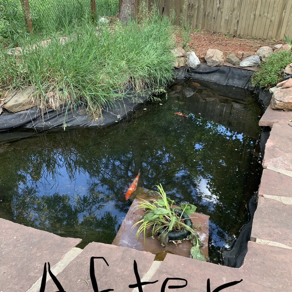 RockStar Aquatics - This is what it looked like 24 hours after cleaning and new pump installed. Pump started to run dry buy morning. - Landscaping Near Me RockStar Aquatics - This is what it looked like 24 hours after cleaning and new pump installed. Pump started to run dry buy morning. - Landscaping Near Me