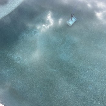Complete Pool Service - Dirty pool right after cleaning service literally the same day a couple hours right after - Pool Cleaners Near Me