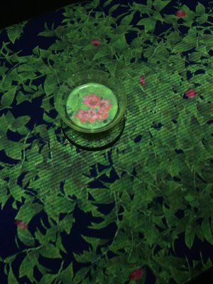 EN TEA HOUSE 幻花亭D rec by null