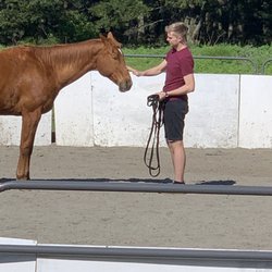 Nina Clark Ericson, PhD - My husband Marcus during his coaching session with Nina and Sparrow.
