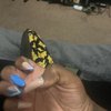 Tokyo Nails gift card