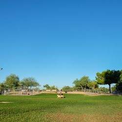 Countryside Dog Park
