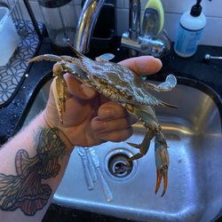 Mekong Market - Blue crab