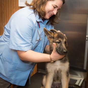 Dwight Veterinary Clinic - Veterinarians Near Me - Dwight, Illinois Dwight Veterinary Clinic - Veterinarians Near Me - Dwight, Illinois