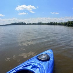 Fisheye Kayak Rentals - Crab Orchard Lake just looks better from the cockpit of a kayak.