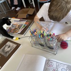 Cat Tales Cat Cafe - You can even color with cats!