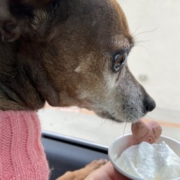 Puppycino Puppycino