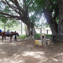 The mounting block