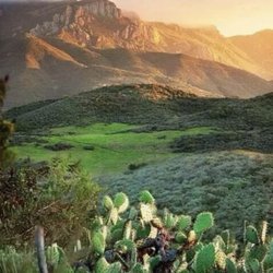 Conejo Valley Recovery Centers - Beautiful surroundings filled with wonderful hiking trails that support a healthy sober lifestyle.