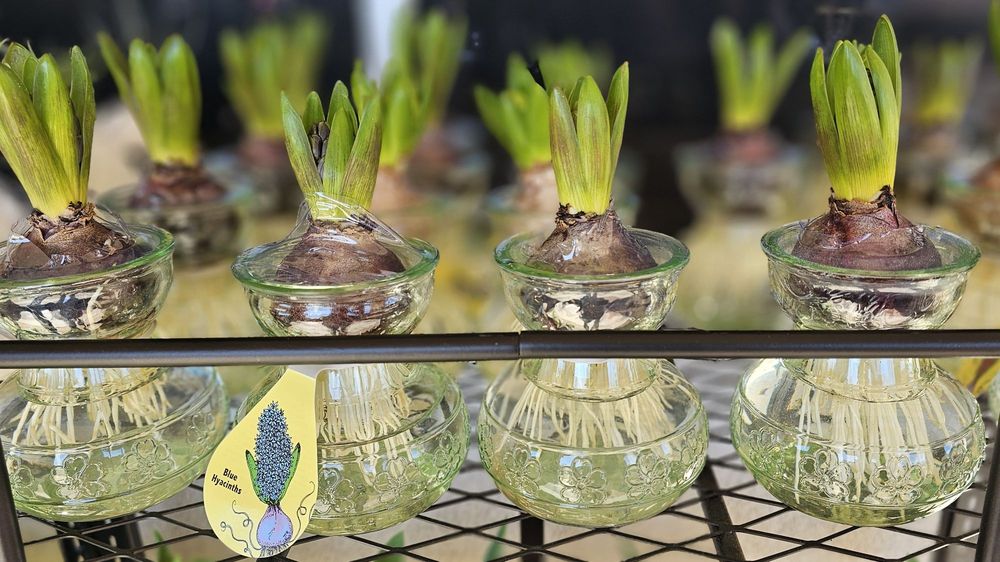 TRADER JOE’S Updated May 2024 217 Photos & 262 Reviews 1117