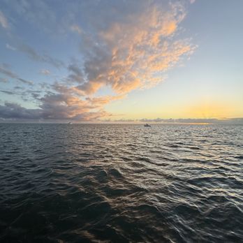 Marathon Mermaid Charters - Boat Tours Near Me - Marathon, Florida