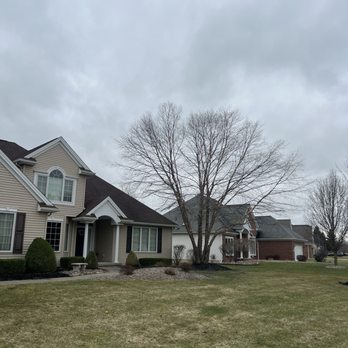 Woodchuck Tree Service - 20 yr old birch tree - Tree Services Near Me - Grand Island, New York Woodchuck Tree Service - 20 yr old birch tree - Tree Services Near Me - Grand Island, New York