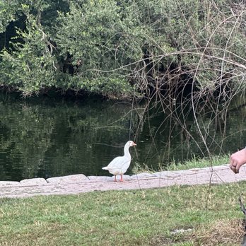 Audubon Park - Parks Near Me - New Orleans, Louisiana Audubon Park - Parks Near Me - New Orleans, Louisiana